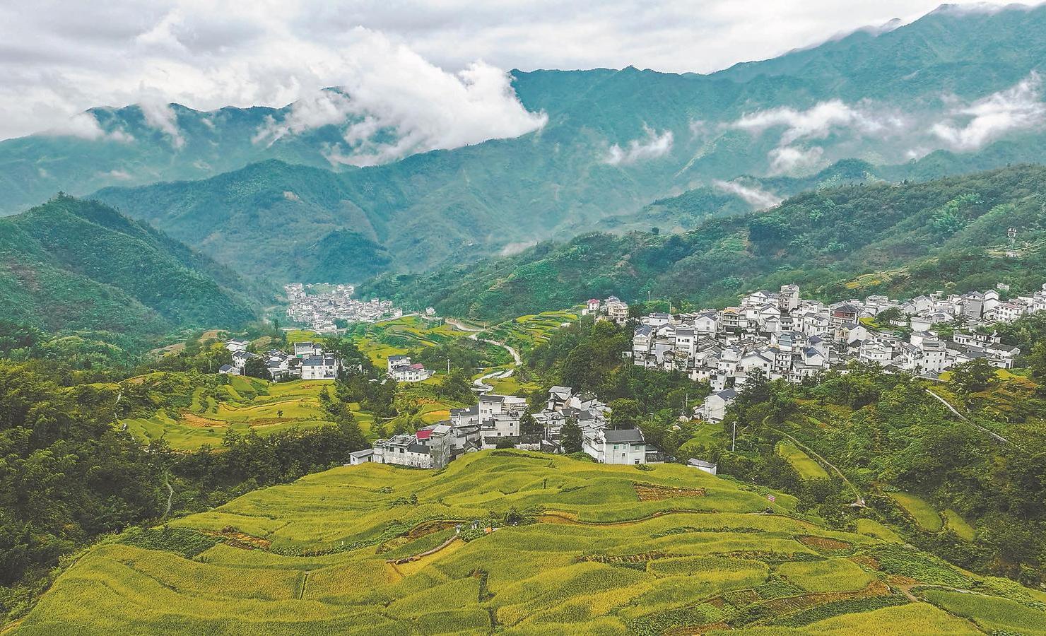 安徽之行，探索与实践的深刻体会